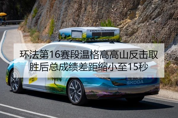 huan-fa-di-sai-duan-wen-ge-gao-gao-shan-fan-ji-qu-sheng-hou-zong-cheng-ji-cha-ju-suo-xiao-zhi-miao-3-293.jpg